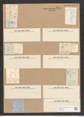 Stauroneis anceps Ehr. (de-Toni-Nr.: Genus 6, Species 902) Zeichnungen Sammlung Grunow Nr. 1764 (NHMW-BOT-W0368655)